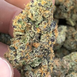 CBD Hemp Flower Purple Urkle 3.5g