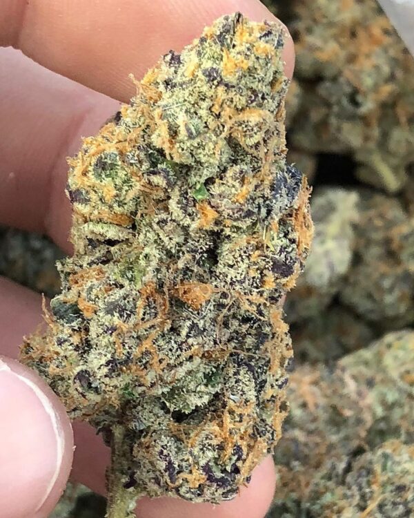 CBD Hemp Flower Purple Urkle 3.5g